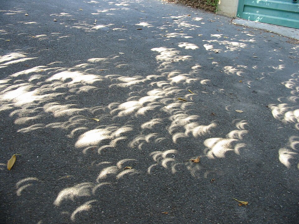 Eclipse proyectado por las hojas de un árbol